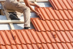 Weyland Dachreinigung u. Beschichtung seit 1988 Dachbeschichtung Barßel