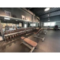 WHY.BE.FIT GmbH Hillesheim