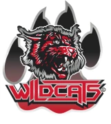 Wildcats Cheerleader Leverkusen e.V. Leverkusen
