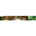 Logo WildnisWerkstatt Annika & Olaf Bader GbR