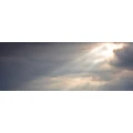 Logo Helferich, Wilhelm