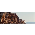 Logo Wilhelmy Holz GmbH