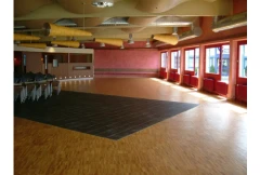 Wilms Sportbodensysteme GmbH Wiesentheid