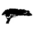 Logo Windloop