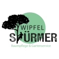 Wipfel-St&uuml;rmer Wendelstein