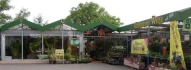 Logo Witte Gartenbau
