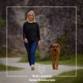 Wolf's Instinkte - Deine Hundeschule