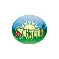 Logo Schnell, Wolfgang