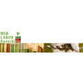 Logo WSB - Labor Ruzycki GbR