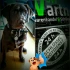 Logo WSW Wartner