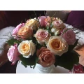 Wunderlich Sylvia Blumen und Pflanzen Meersburg