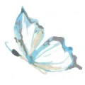 Logo Wunderwerk