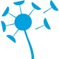 wunschl&ouml;sung GmbH Jena