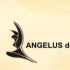 Logo www.angelus-design.de Angelus design - Suncica Rodermund Designagentur