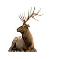 www.jagdquelle.de Jagd und Angeln Treuenbrietzen