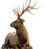 Logo www.jagdquelle.de Jagd und Angeln