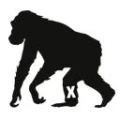 Logo X-Move GmbH