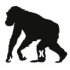 Logo X-Move GmbH