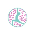 YAMIDA YOGASCHULE Inh. Yvonne Beerenbrock L&uuml;dinghausen