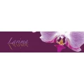 Logo Toparlak-Erichsen, Yeanette