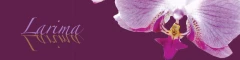 Logo Toparlak-Erichsen, Yeanette