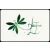 Logo Yela True Impuls Mentoring & Seelsorge