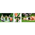 Logo Yogawiese Sigrid Weiler