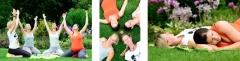 Logo Yogawiese Sigrid Weiler