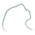 Logo Frank, Yvonne