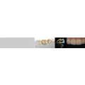 Logo Zahntechnik Dino Dent GmbH