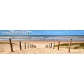 Zhineng Qigong Nordsee, Andreas Wagner Friedeburg