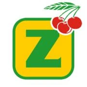 Logo Zindel Alfred AG