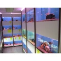 100 Aquarien mit Fischen