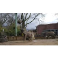 Zoo Duisburg Duisburg