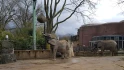 Logo Zoo Duisburg